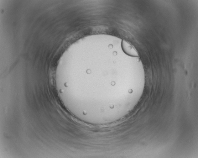 X0000060800038200511241921