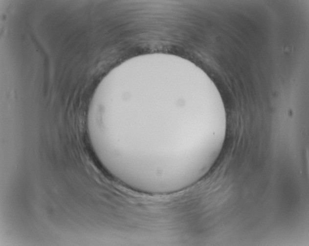 X0000060800039200511241921