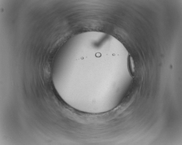 X0000060800040200511241921