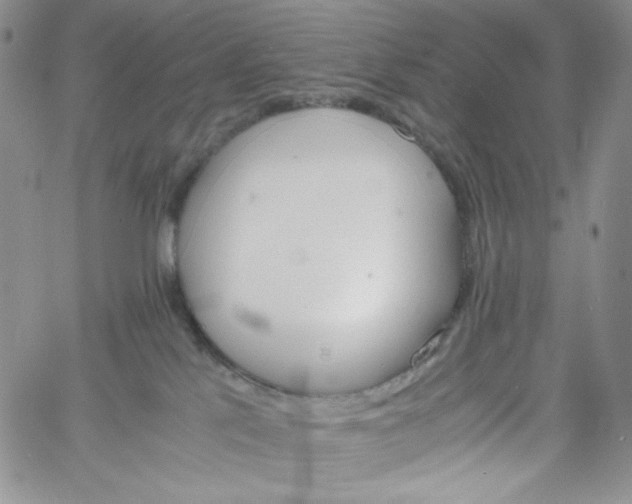 X0000060800041200511241921