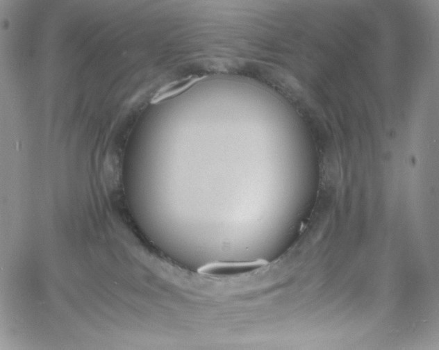 X0000060800043200511241921