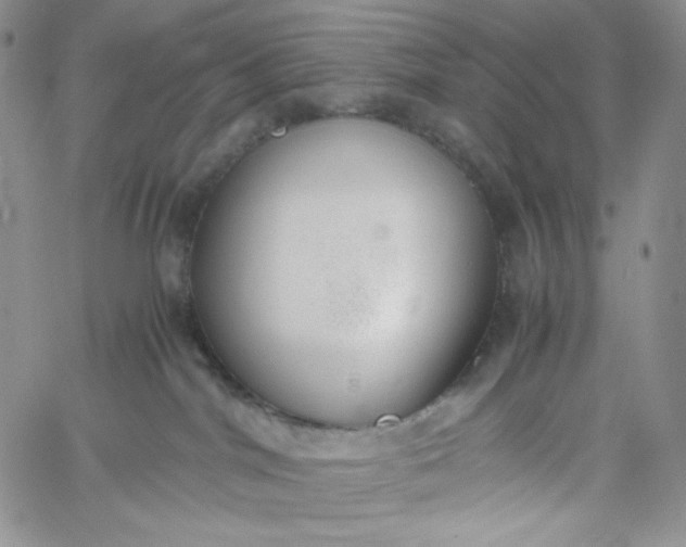 X0000060800044200511241921