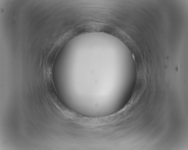 X0000060800045200511241921