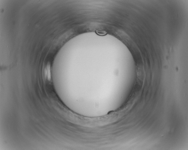 X0000060800046200511241921