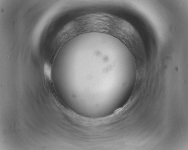 X0000060800047200511241921