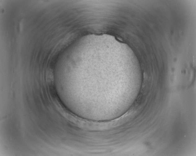 X0000060800048200511241921