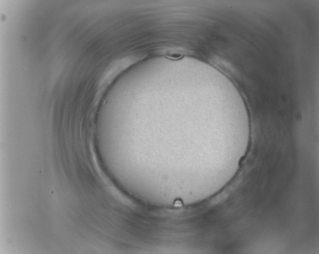 X0000060800049200511241920