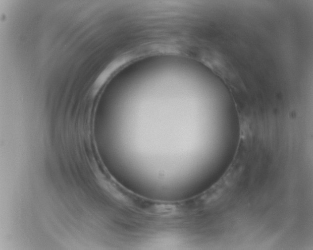 X0000060800052200511241920