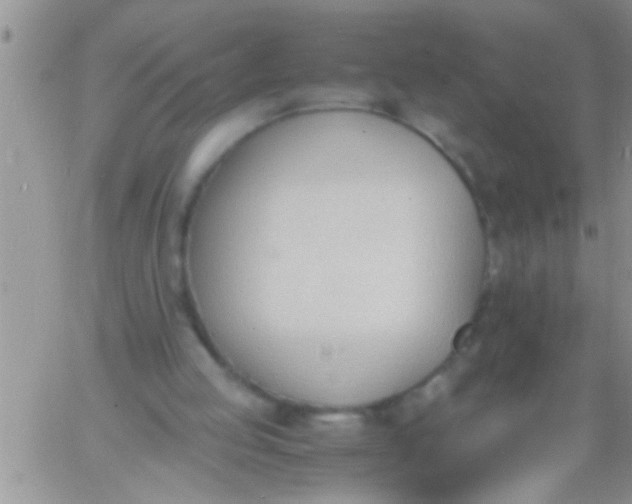 X0000060800053200511241920