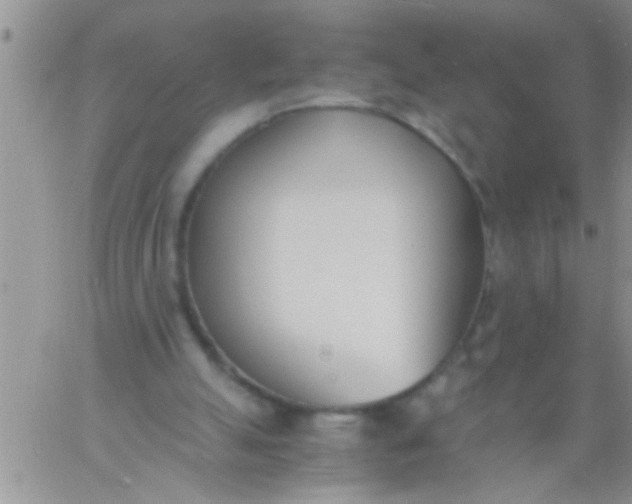 X0000060800055200511241921