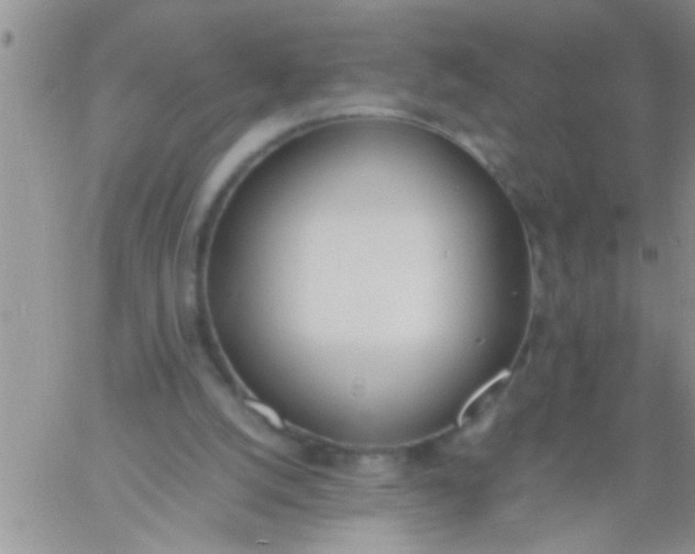 X0000060800056200511241921