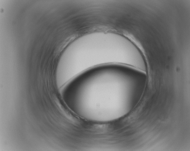 X0000060800057200511241921