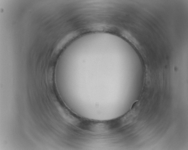 X0000060800058200511241921