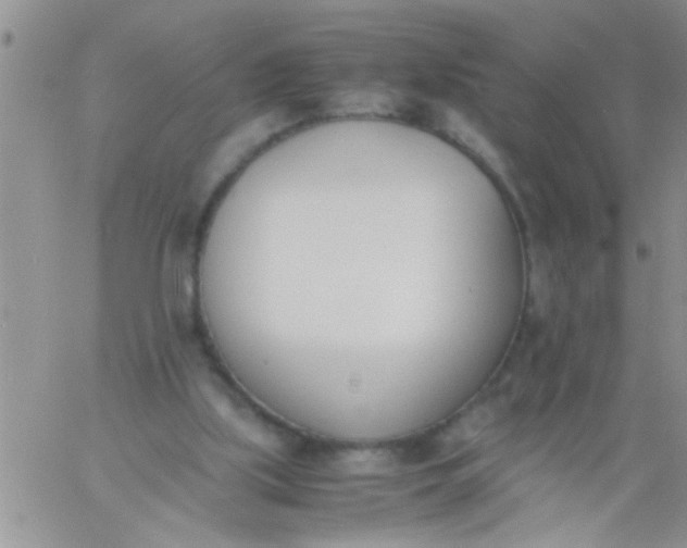 X0000060800059200511241921