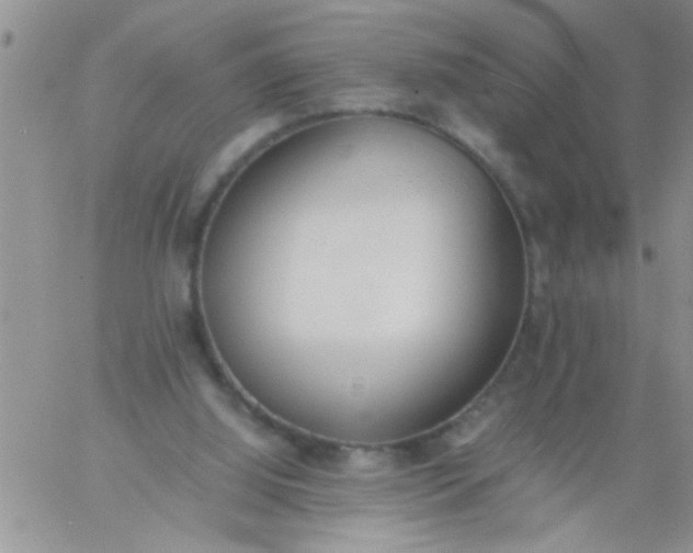 X0000060800060200511241921