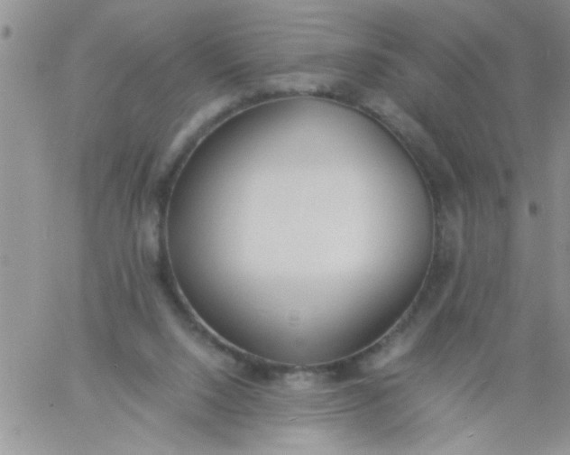 X0000060800064200511241921