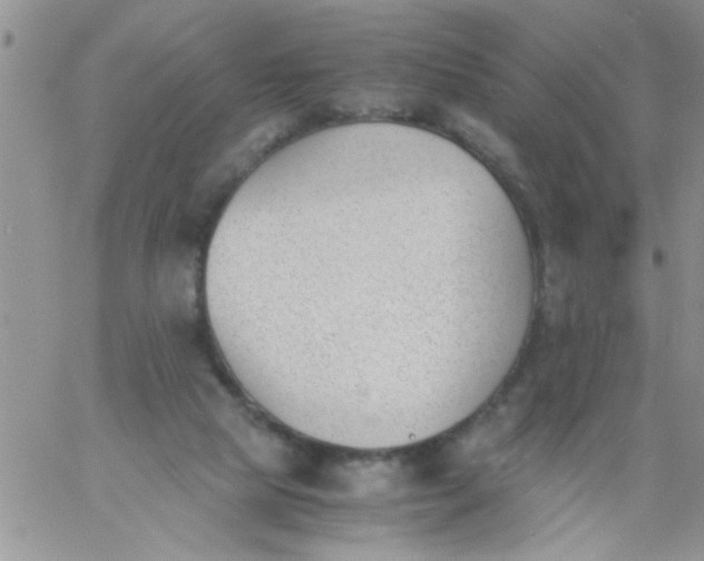 X0000060800065200511241921