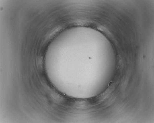 X0000060800066200511241921