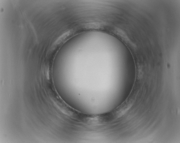 X0000060800068200511241921