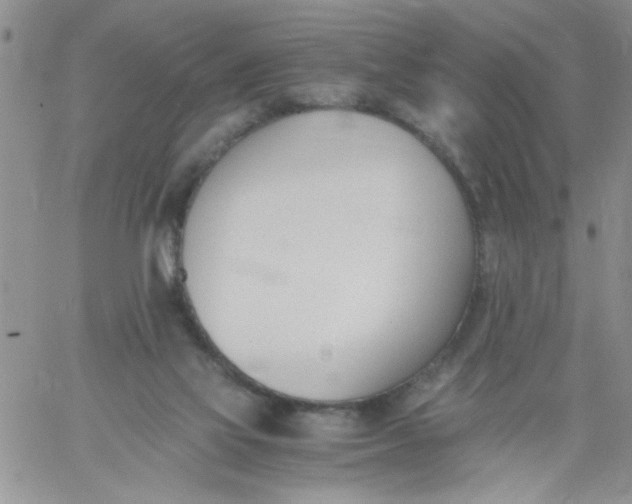 X0000060800069200511241921