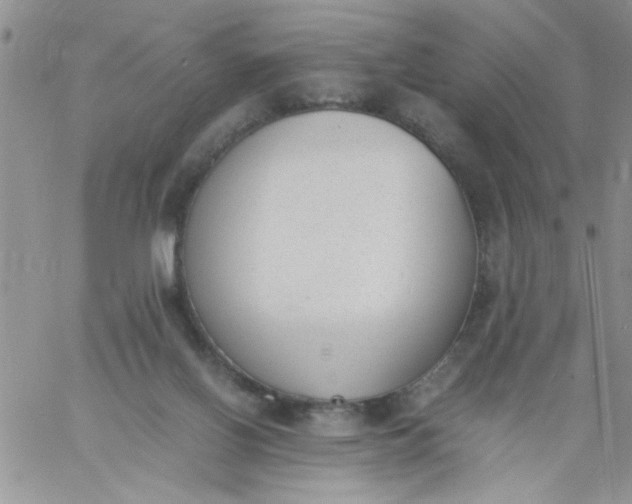 X0000060800070200511241921