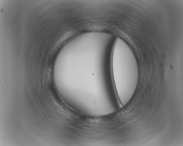 X0000060800071200511241921