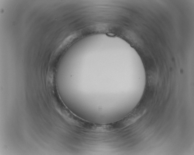 X0000060800072200511241921