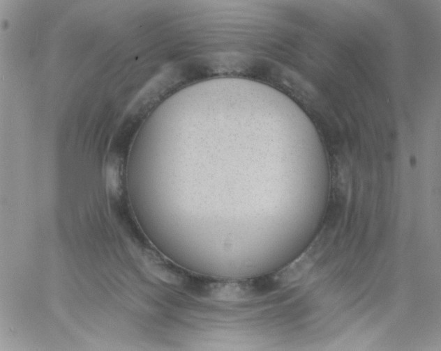 X0000060800074200511241921