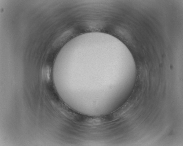 X0000060800075200511241921