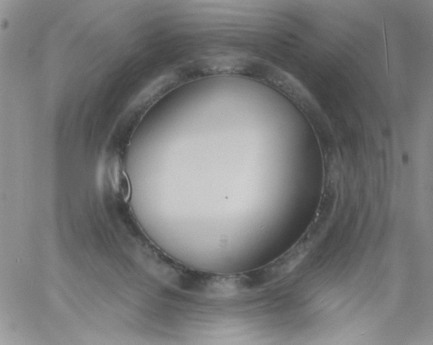 X0000060800076200511241921