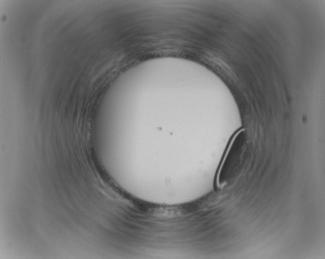 X0000060800077200511241921