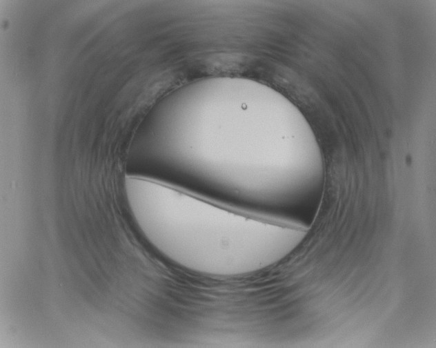 X0000060800079200511241921