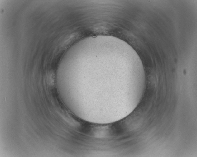 X0000060800081200511241921