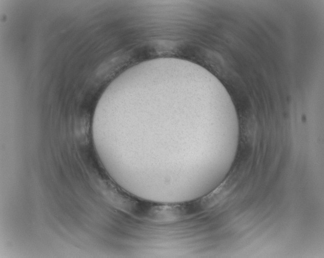 X0000060800082200511241921