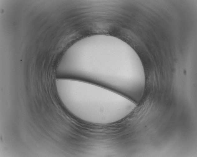 X0000060800084200511241921