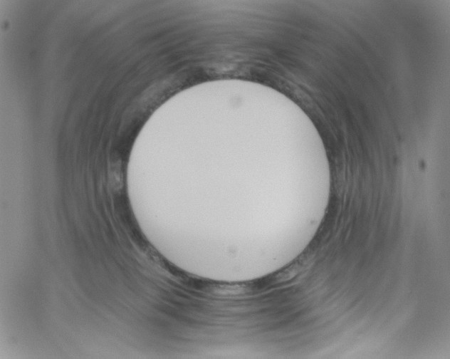 X0000060800085200511241921