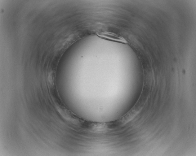 X0000060800088200511241921