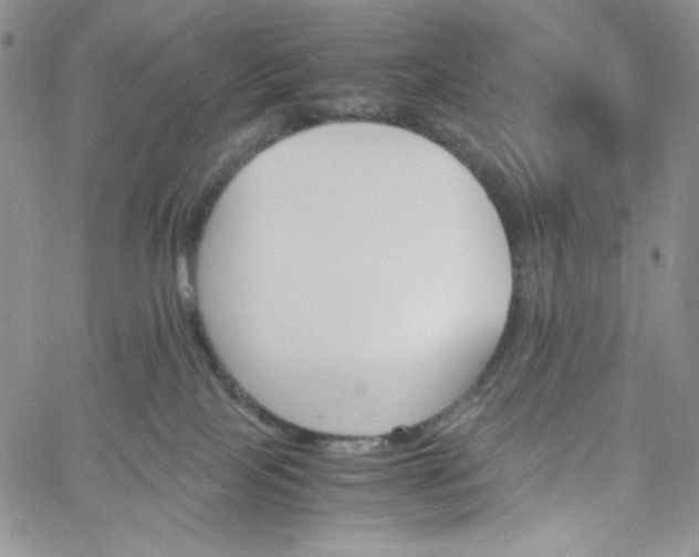 X0000060800089200511241921