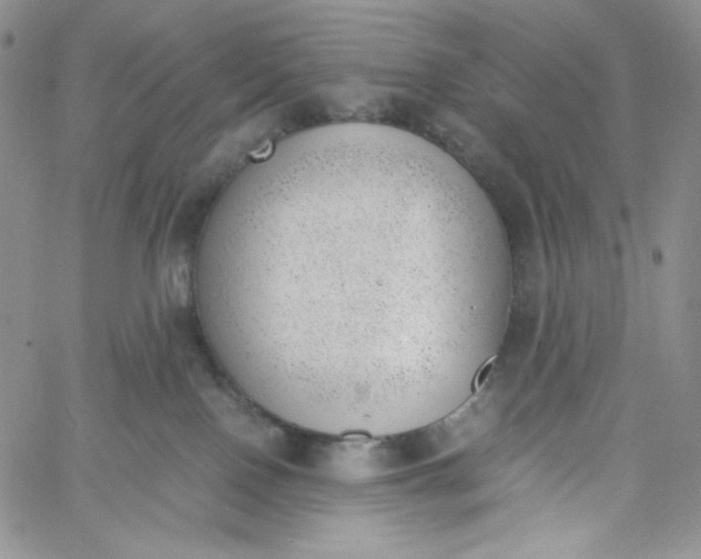 X0000060800090200511241921