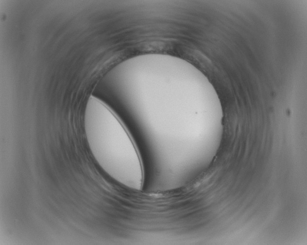 X0000060800091200511241921