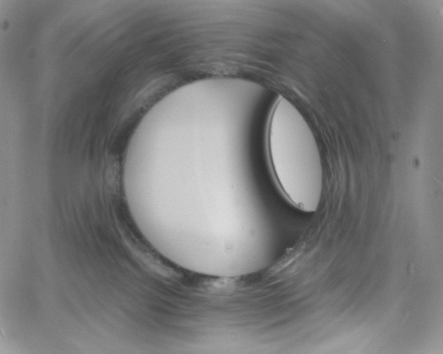 X0000060800092200511241921