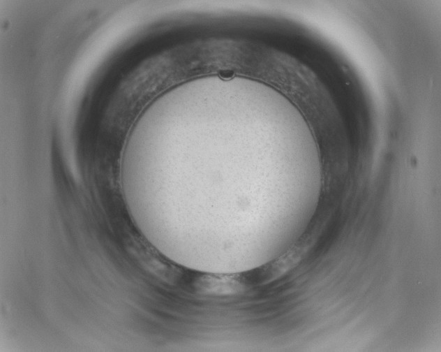 X0000060800093200511241921