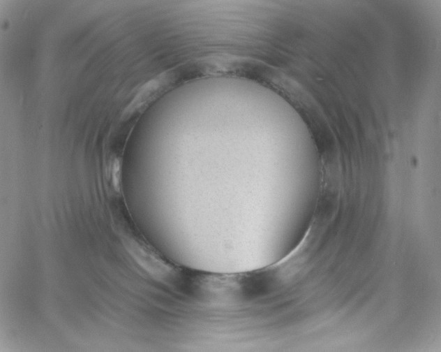 X0000060800094200511241921