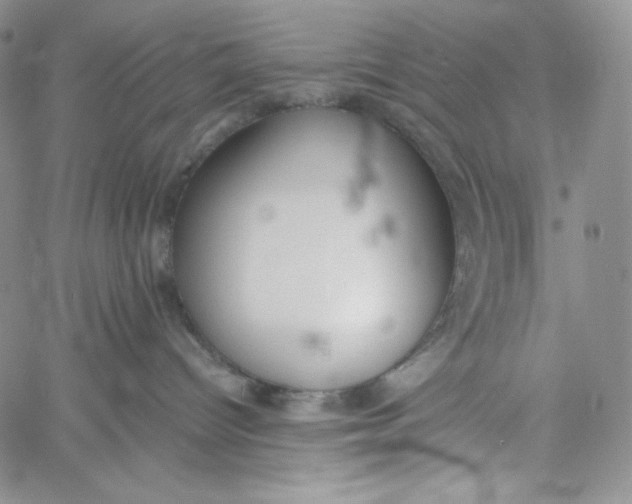 X0000060800096200511241921