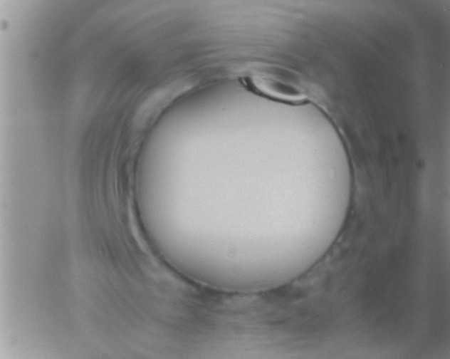 X0000060800097200511241920