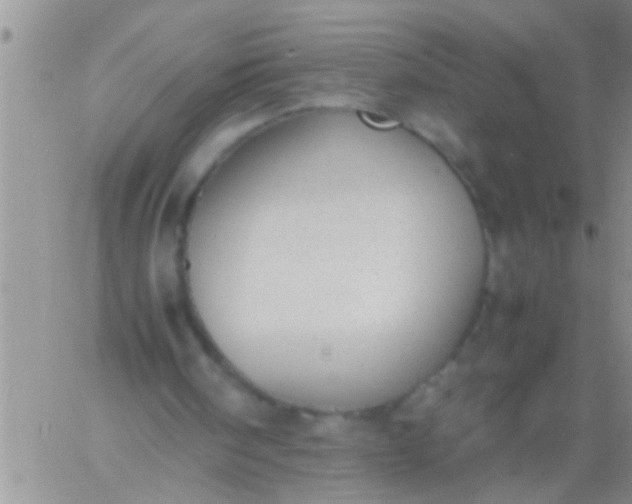 X0000060800098200511241920