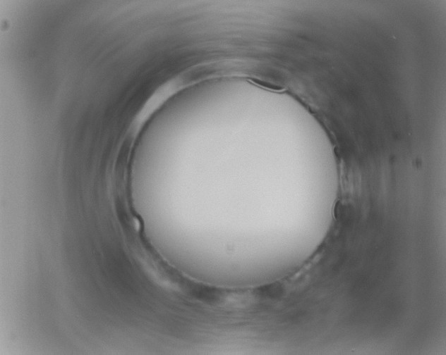 X0000060800099200511241920