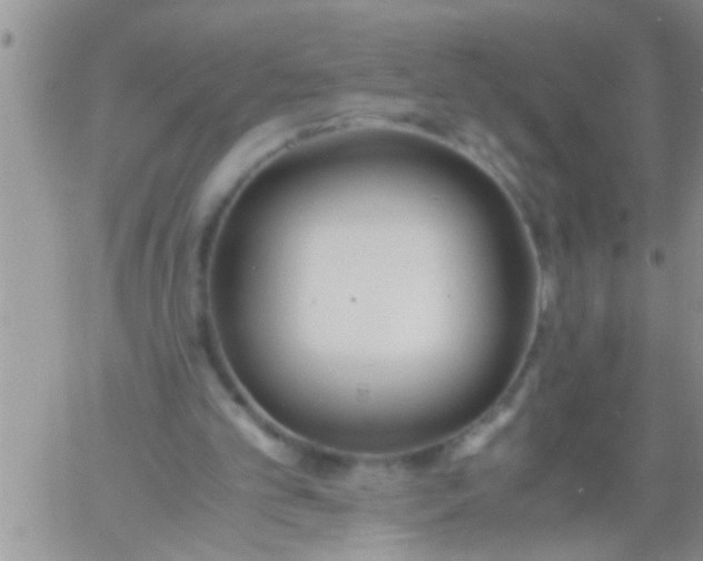 X0000060800101200511241920