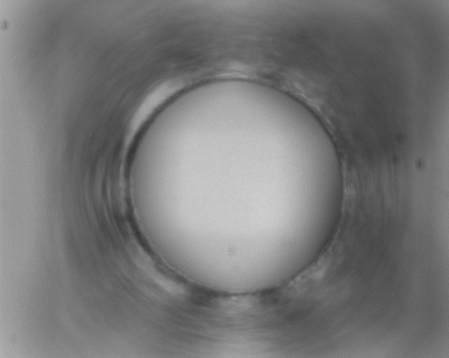 X0000060800102200511241920