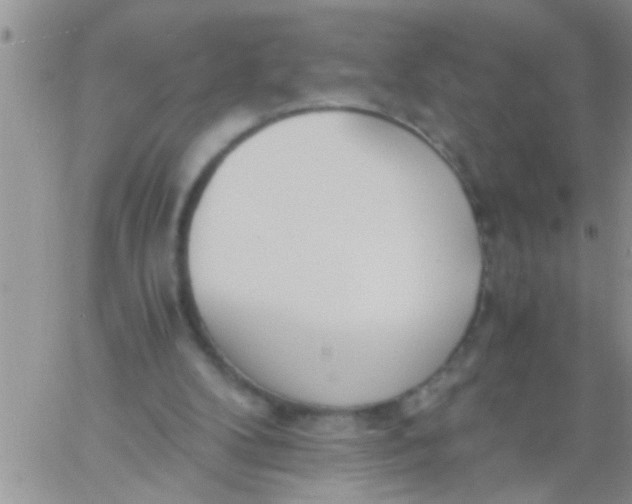 X0000060800104200511241920